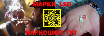 индика Обнинск