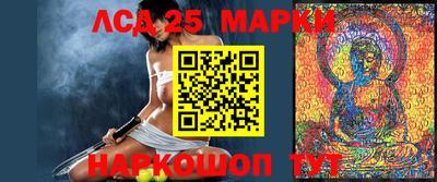 индика Обнинск