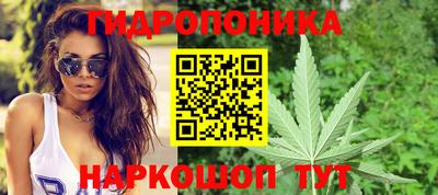 индика Обнинск