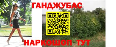 индика Обнинск
