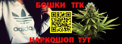 индика Обнинск
