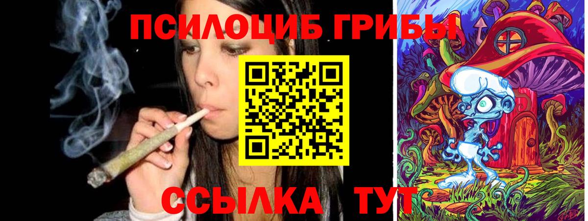 Сосновоборск  Псилоцибиновые грибы Psilocybe  купить   Вход с VPN 