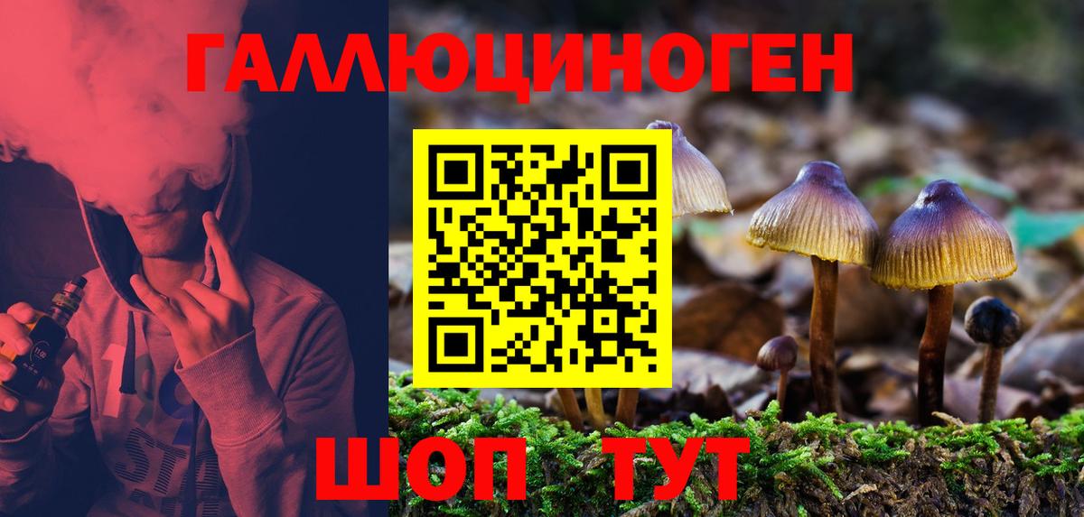 Псилоцибиновые грибы прущие грибы Сосновоборск